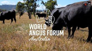 Angus cattle in Australia have a lot to offer the world!