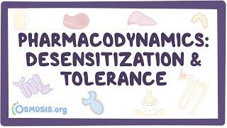 Pharmacodynamics: Desensitization and tolerance