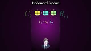 What is a Hadamard Product?