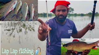 Incredible Fishing Rohu Fish Catching Amazing Lap Lap Fishing Techniques