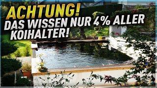 ACHTUNG: Das Wissen NUR 4% aller KOIHALTER! CO2 MANGEL am Koiteich!