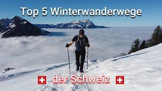 Die 5 schönsten Winterwanderwege der Schweiz