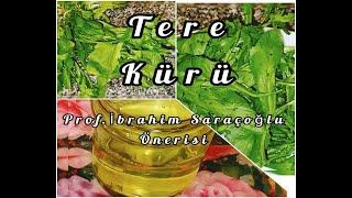 Tere kürü , Prof. İbrahim Saraçoğlu tarifi ile akciğer temizliği