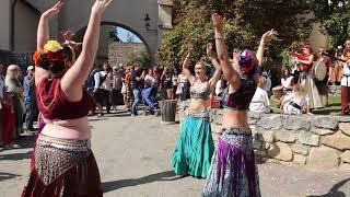 Wüstenrosen @ Mittelalterfest Eggenburg 2018