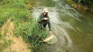 Wisconsin Trout Fishing - 6/27/2024