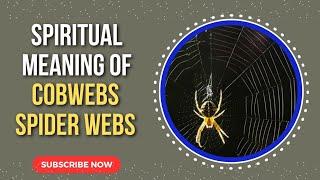 Spiritual Meaning of Cobweb (Spider Webs Biblical Meaning)