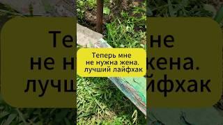 Теперь жена не нужна! Дачный лайфхак! #дача #огород #сад #лайфхак #вредители