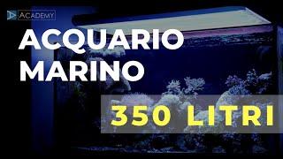 Acquario Marino 350 litri | Reef Tank 95 gallon