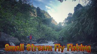 Malaysia Small Stream Fly Fishing 2