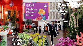 Finding HOUSEPLANTS 🪴 at the RHS Chelsea Flower Show