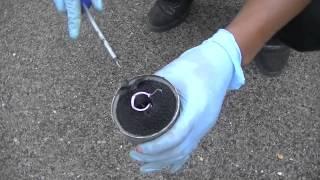 Reasons Why You Should Change Your Fuel Filter....... Must See!!