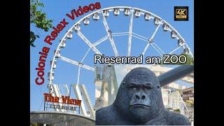 Köln / Cologne Riesenrad Riehl by Colonia Relax Videos