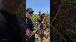 Beach cleanup with friends #shorts