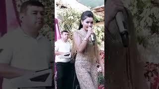 Nodirabegim kenjaeva #точикистон #rek #tajikmusic #music #tajik #tajikistan #duet #душанбе