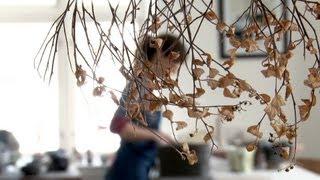 Anne Mette Hjortshøj "Paying Honest Attention" - beautiful film about Danish potter