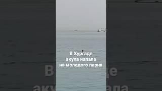 В Хургаде акула напала на  молодого парня. Он погиб.