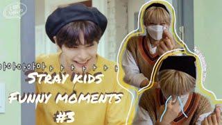 Stray Kids funny moments #3 (SUB ESP)