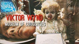 The Last Tuesday Society, Inside the Bizarre World of Viktor Wynd's Museum of Curiosities