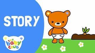 Carrot Story | The Baby Club