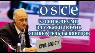 Гельды Кяризова на Заседании ОБСЕ: О Свободе Выражения Мнений и Свободе СМИ в Туркменистане