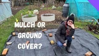 Should I Use Mulch OR Ground Cover - Allotment Beginners UK