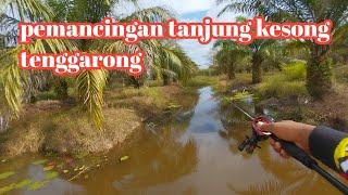 casting ikan gabus haruan pakai umpan soft frog dan soft lure di pemancingan tanjung kesong