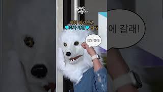 감다살 모집 | 하나투어 채용연계형 인턴 모집 #선공개