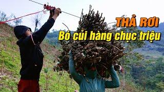 Bất ngờ khi thấy người Dao làm giàu từ loại củi này