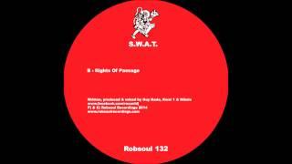 DJ Ra-Soul - True Science (Robsoul)