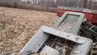 Picking in the mud 1/4/19