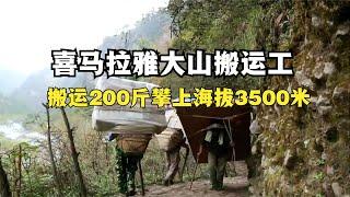 喜马拉雅大山搬运工，搬运100公斤上海拔3500米，3天2夜挣53元