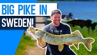 Fishing For BIG PIKE in SWEDEN! Lake Sibbo