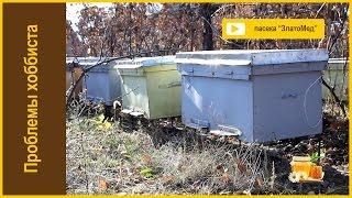 Выпуск №1. Вступление)))