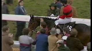 1984 Champion Hurdle  Dawn Run Includes  Replay & Enclosure