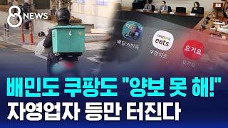 배민도 쿠팡도 "양보 못 해!"…자영업자 등만 터진다 / SBS 8뉴스