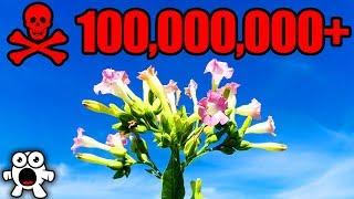 Top 10 Most Dangerous Plants in the World