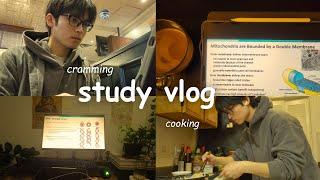 study vlog | exam season, late nights, uni life