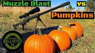 Muzzle Blast vs Pumpkins