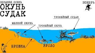 ОКУНЬ и СУДАК. Поздней осенью. Ты ОБЯЗАН это знать  #рыбалка #окунь #судак