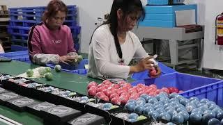 Make sure you finish it: the bath bomb manufacturing process is in our factory