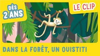 Dans la forêt un Ouistiti le clip ! Mon imagier des comptines de la maternelle - Gallimard Jeunesse