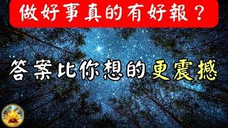 作惡的人為何有好報？行善的人卻歷經苦難？因果法則揭密，這才是『善終』的真正關鍵！ 【宸辰的分享天地】