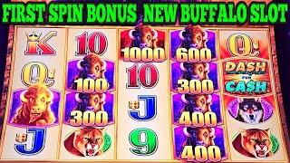 FIRST SPIN BONUS on BUFFALO DASH FOR CASH SLOT | New Las Vegas Slots #casino #slots #gambling