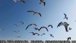 Любовь Строганова (г. Магнитогорск) с работой «Ода рукам»