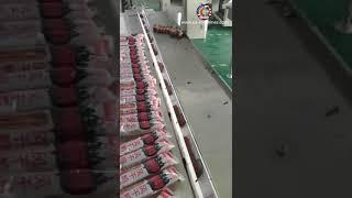 Dry beef meat snack horizontal filling bag form fill seal packing machine with air flushing function