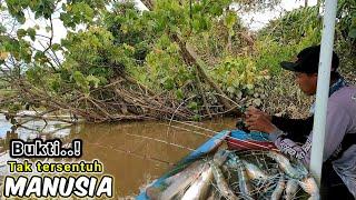 SAMA SEKALI TAK TERJAMAH!!! Mancing Udang galah JoranKu Berkali² Di Hajar Dengan Ganas