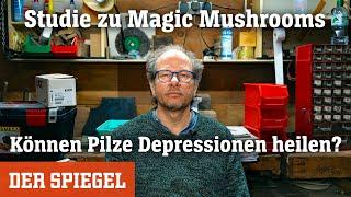 Magic Mushrooms: Können Pilze Depressionen heilen? | DER SPIEGEL