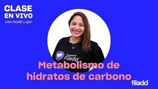 Clase en vivo Bioquímica UBA: Metabolismo de hidratos de carbono | Maratón Filadd