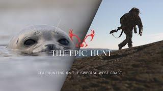 Seal Hunting on the Swedish West Coast: The Epic Hunt