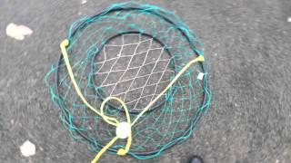Prepare Ring Net Crab Trap for Salt Water Crabbing